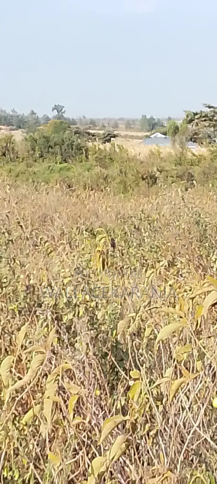 Plot for Sale in Nagum