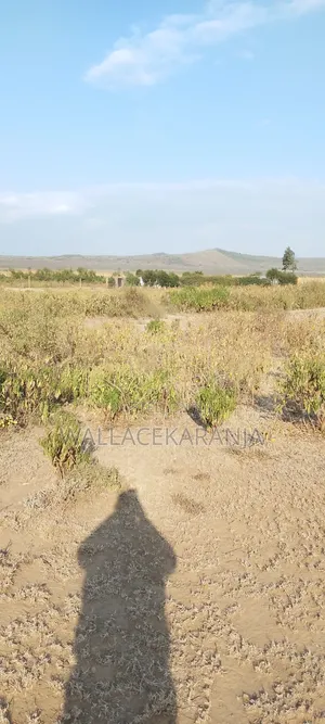 Plot for Sale in Nagum