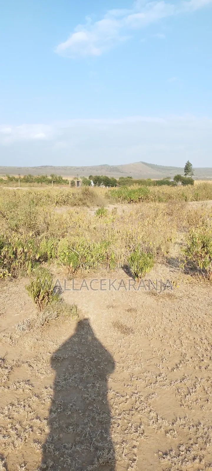 Plot for Sale in Nagum