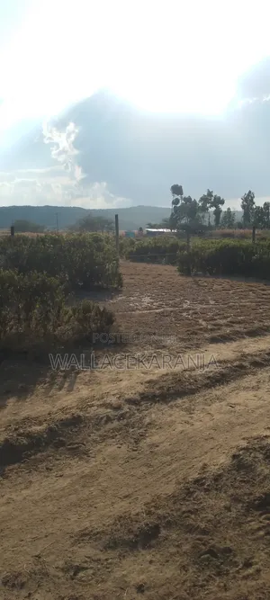 Plot for Sale in Nagum