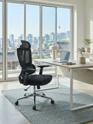 Office Chairs; Executive Modern Offices Orthopedic Chairs