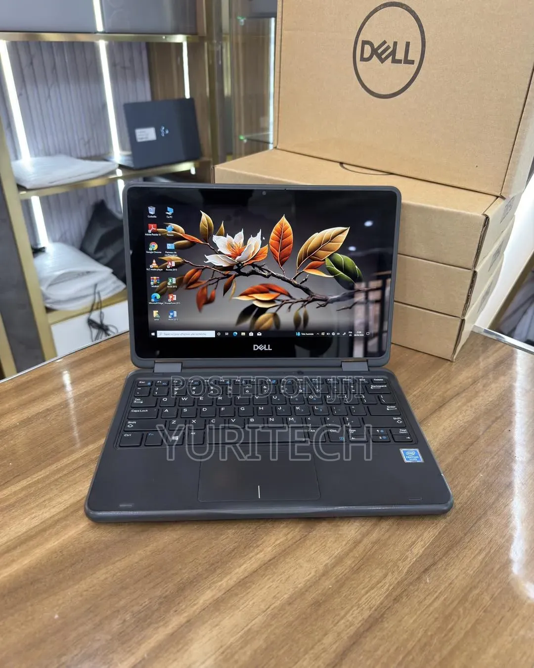 Laptop Dell Latitude 5300 8GB Intel Core i5 SSD 256GB