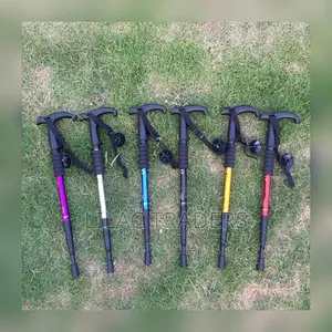 *Anti Shock Trekking Pole*es