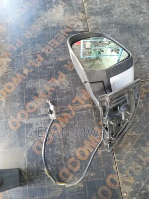 Nissan Leaf Old Model Side Mirror