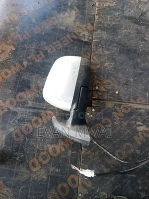 Nissan Leaf Old Model Side Mirror