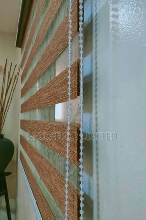 Zebra Roller Blinds – Modern Window Styling