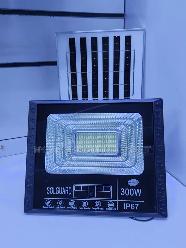 300w Floodlight Solguard - main view