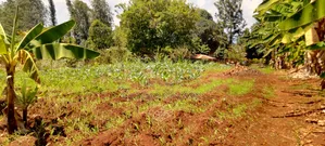 2 Acres of Land for Sale in Nyangati, Kirinyaga!