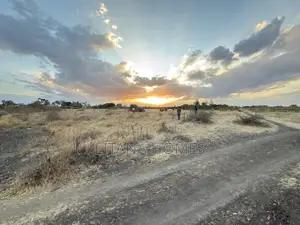 50x100 Plot Juja Farm