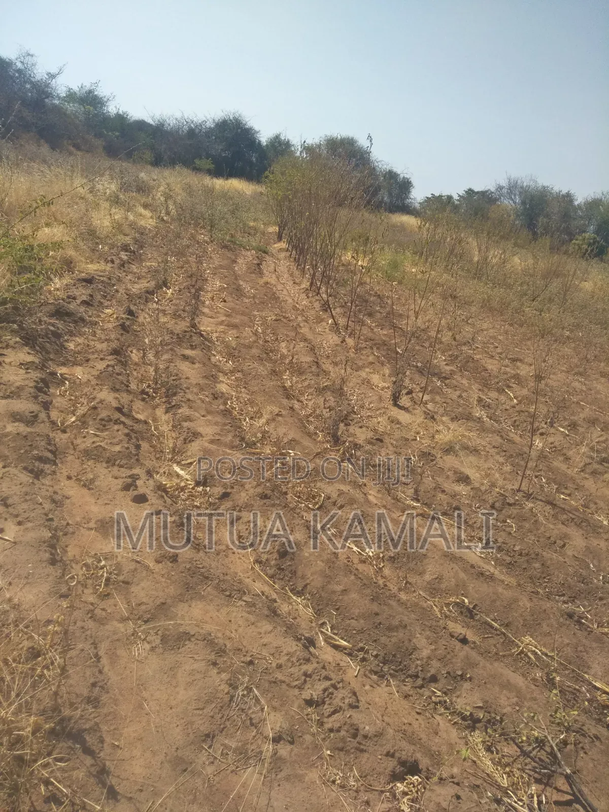 Land for Sale.