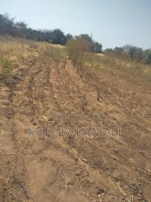 Land for Sale.