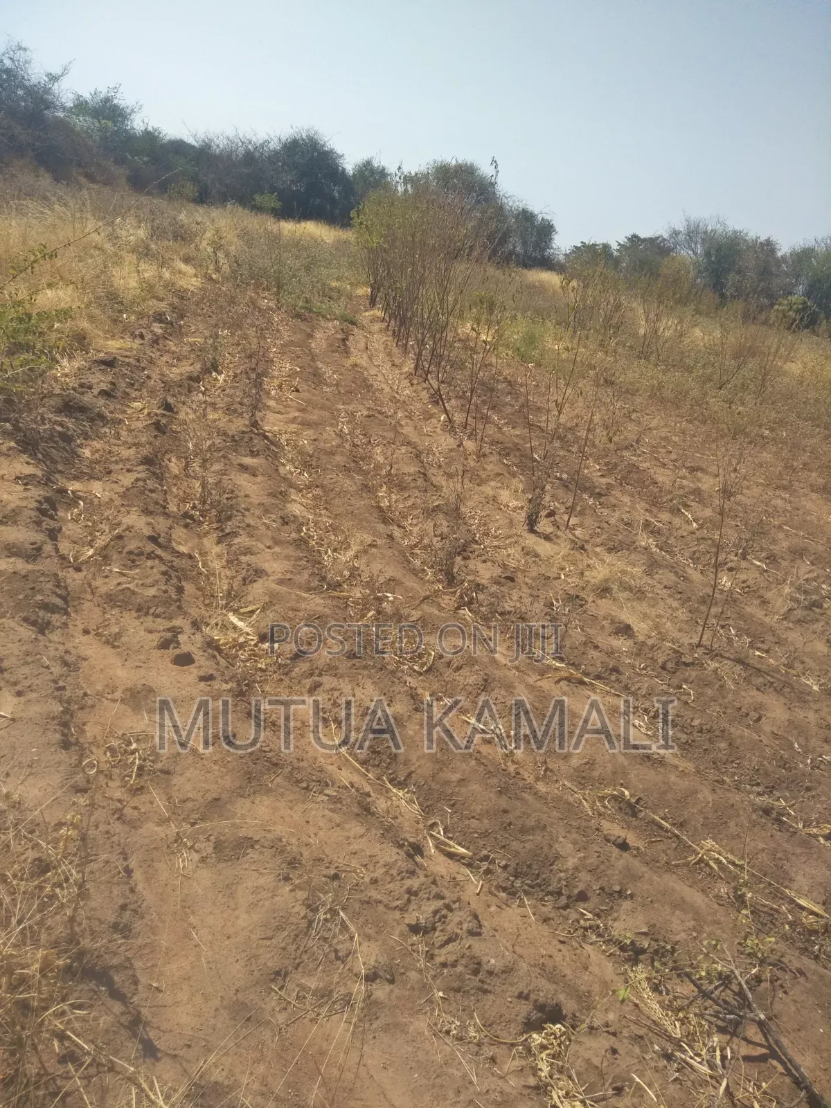 Land for Sale.
