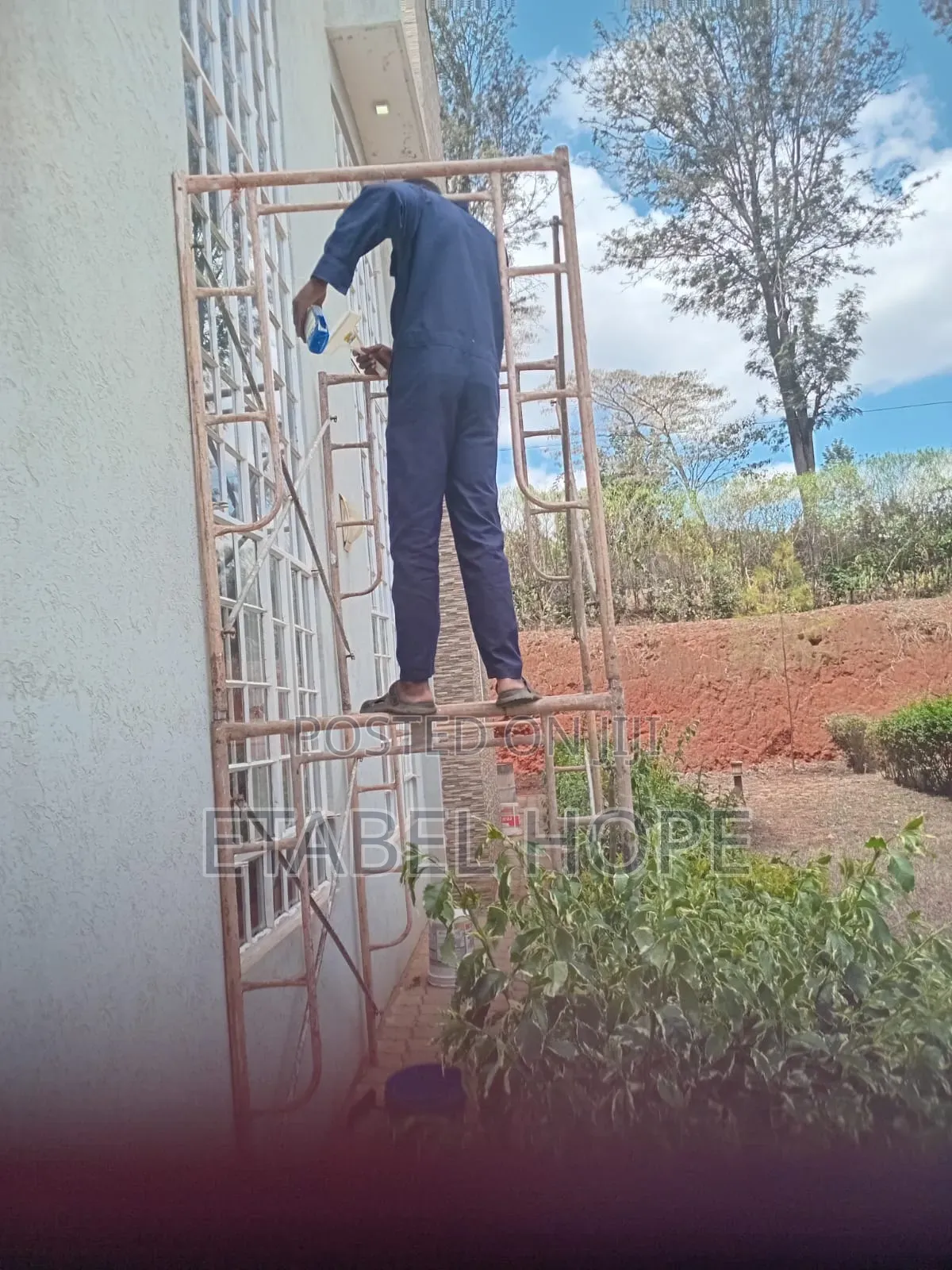 Professional House and Sofa Deep Cleaning