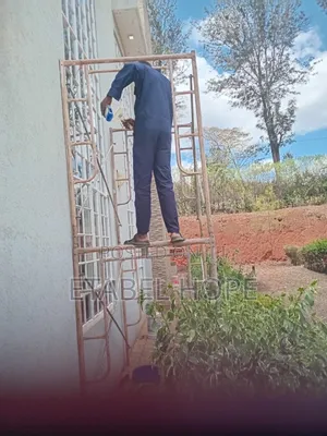 Professional House and Sofa Deep Cleaning