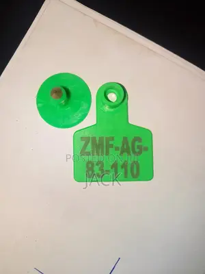 Sheep Ear Tags Customized