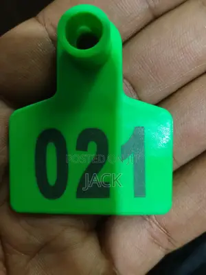 Sheep Ear Tags Customized