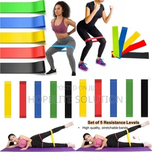 5in1 Exercise Premium Resistance Bands