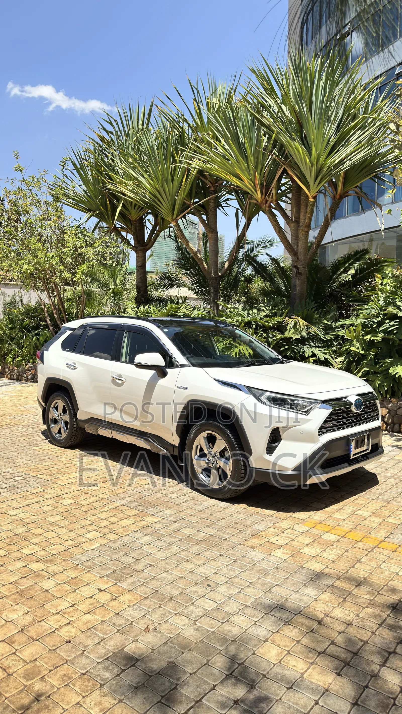 Toyota RAV4 2019 White