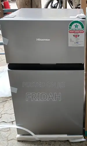 Hisense 091DR Double Door Fridge