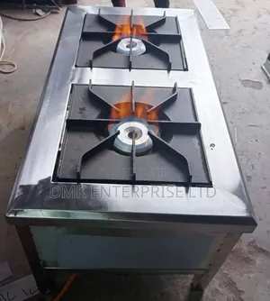 Commercial-Grade Stainless Steel Two-Burner Gas Cooker