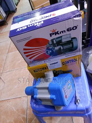 Powerful 0.5 HP Pedrollo With Pump Control