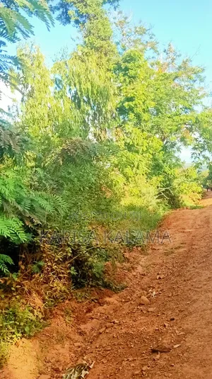 10 Acres for Sale -Vitengeni Touching the Vitengeni - Matanomane Road