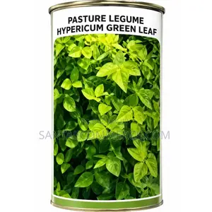 Pasture Legume Desmodium Green Leaf Seeds