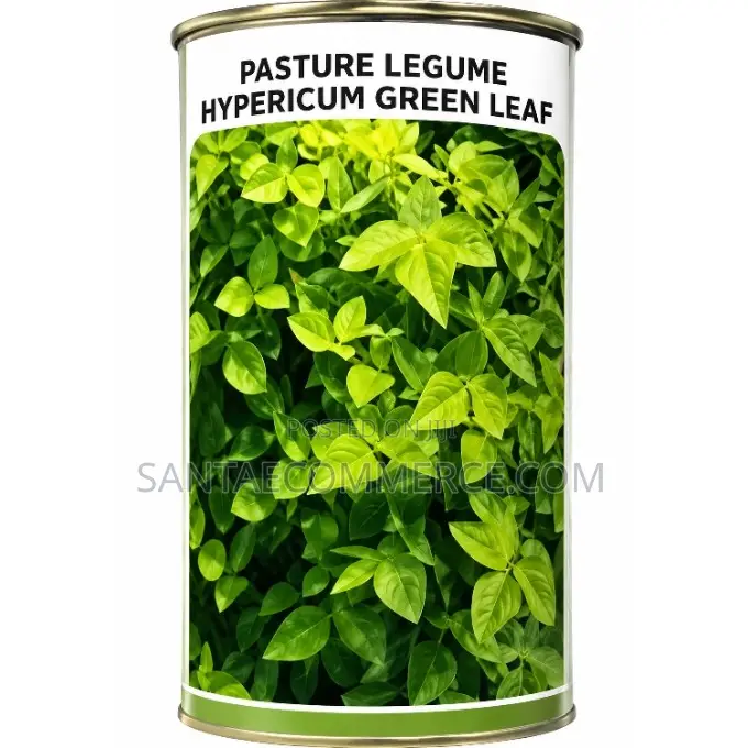 Pasture Legume Desmodium Green Leaf Seeds