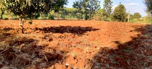 31⁄4 Acres of Land for Sale in Kirinyaga – Murubara!