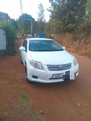 Toyota Axio 2010 White