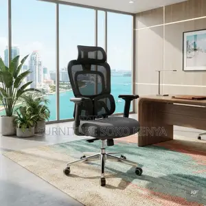 Executive Seats | Orthopedic Dual Backrest Support Chair