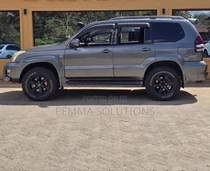 Toyota Land Cruiser 2006 Gray