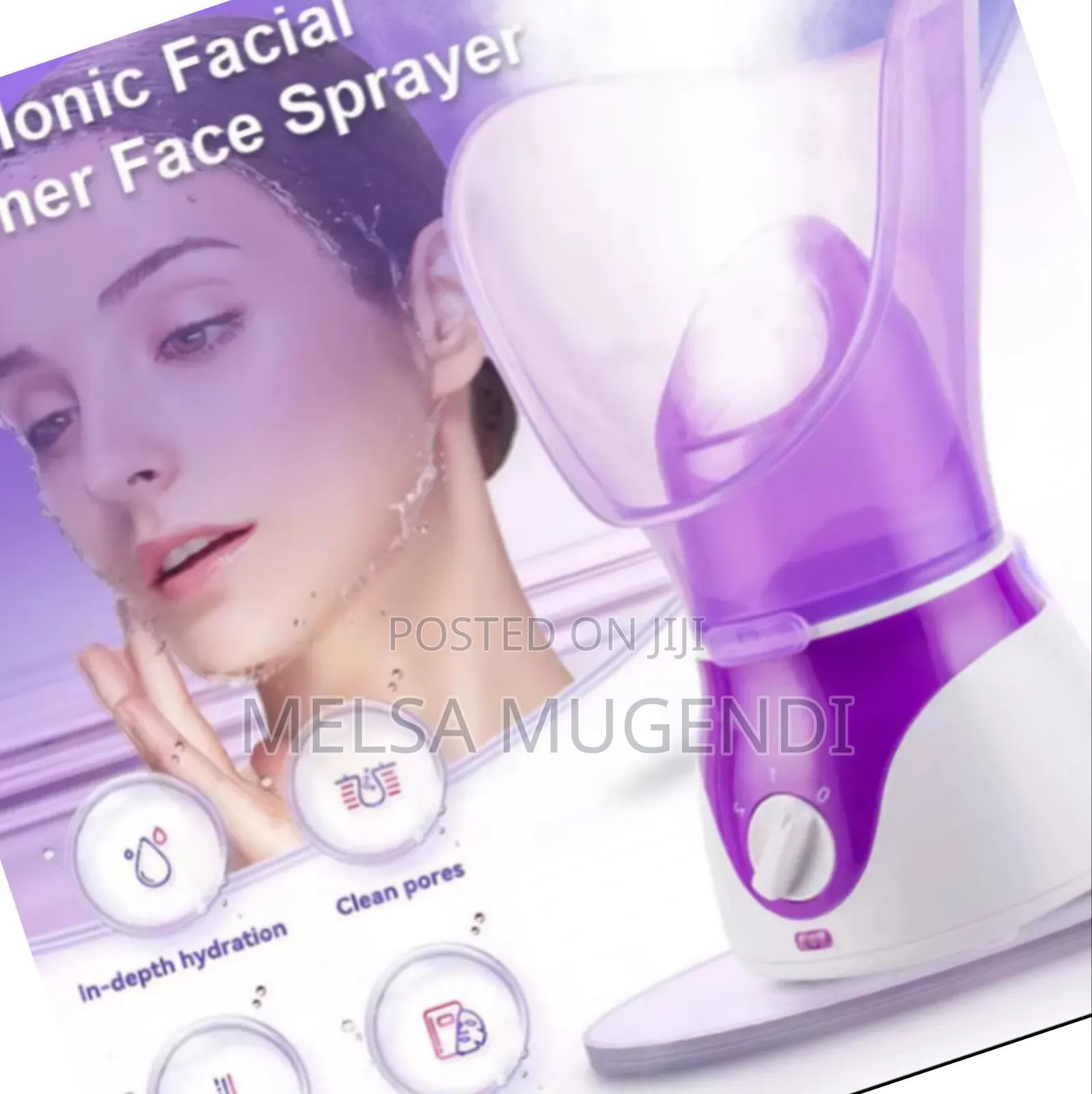 Professional Ionic Facial Steamer Machine