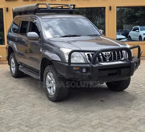 Toyota Land Cruiser 2006 Gray