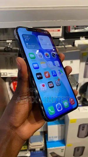 Apple iPhone 12 Pro Max 128 GB Gray