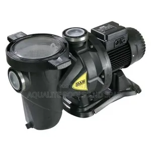 Dab Euroswim 100M Swimming Pool Pump