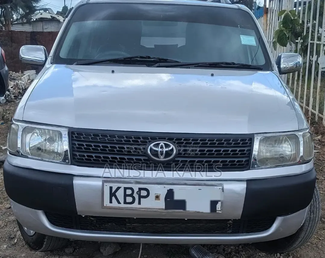 Toyota Probox 2005 Silver