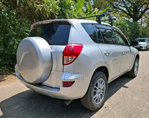 Toyota RAV4 2007 Silver