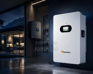 Dawnice 10.54kWh 51.2V 206Ah LiFePO4 Battery