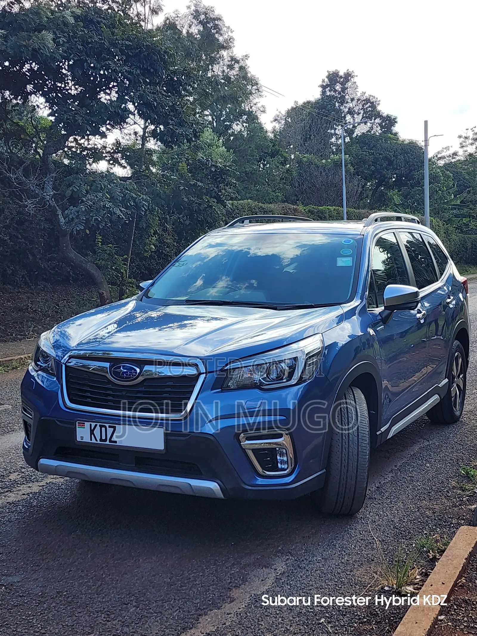 Subaru Forester 2019 Blue
