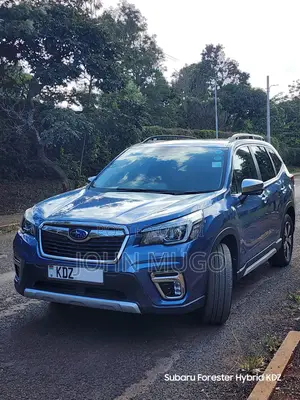 Subaru Forester 2019 Blue