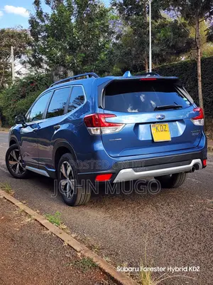 Subaru Forester 2019 Blue