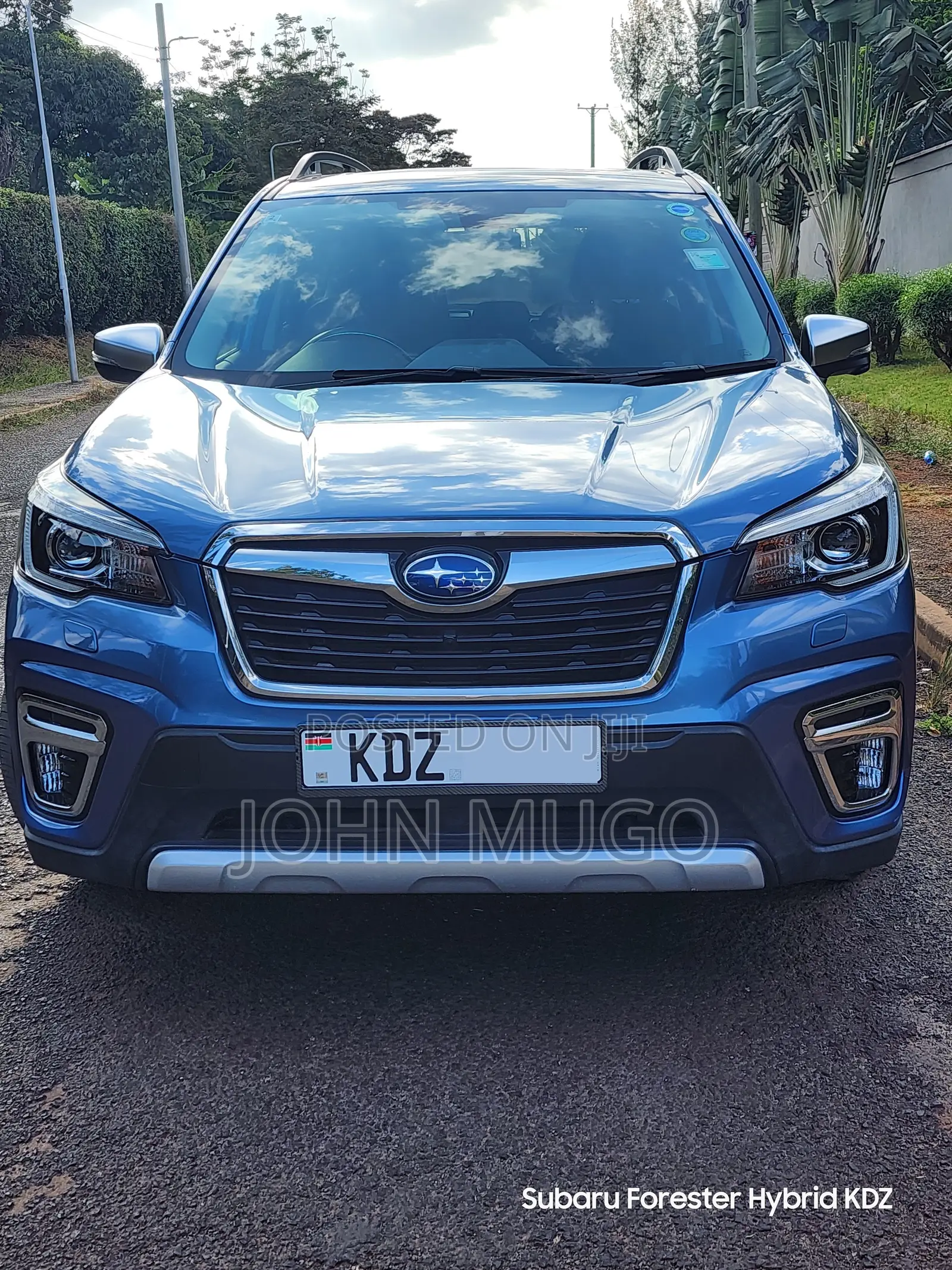 Subaru Forester 2019 Blue
