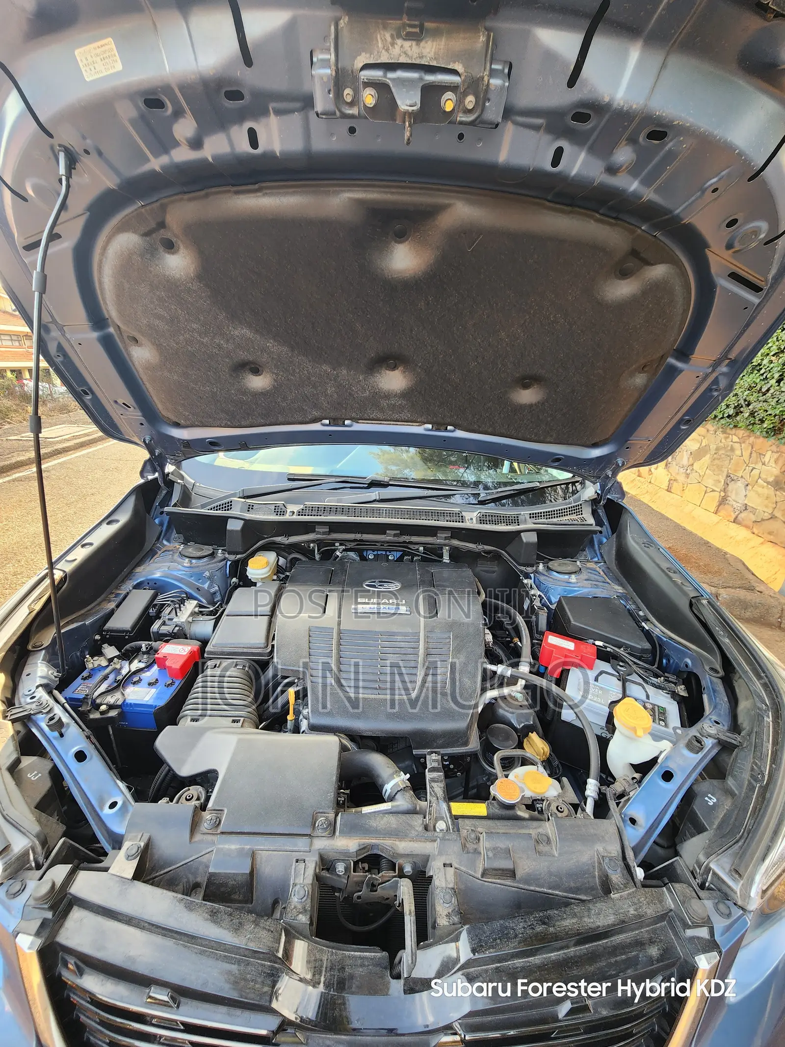 Subaru Forester 2019 Blue
