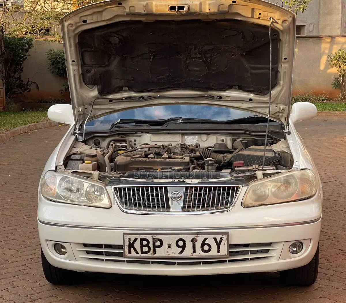 Nissan Sylphy 2005 Pearl