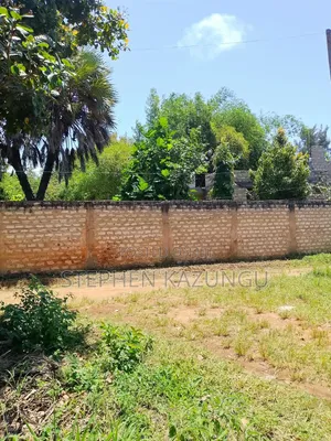 An 1/8 Acre Treasurer at Mvindeni, 500 Metres Direct From Tarmac Road