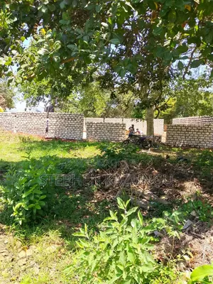 An 1/8 Acre Treasurer at Mvindeni, 500 Metres Direct From Tarmac Road