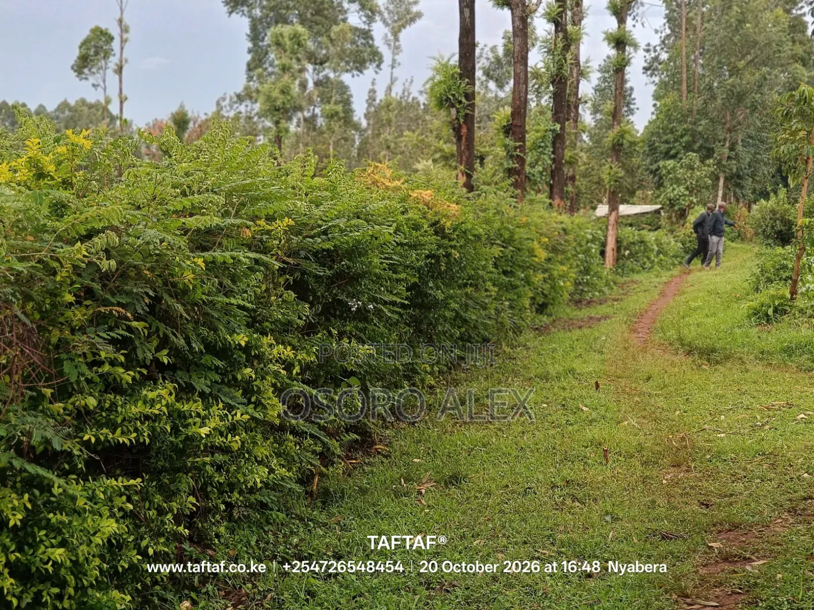 Land for Sale