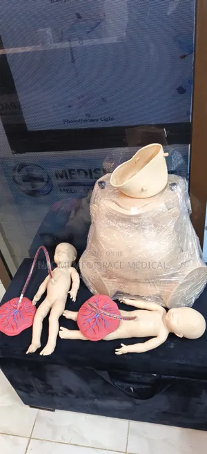 Twin Delivery Training Manikin/ Childbirth Training Manikin