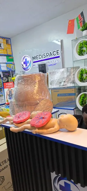 Realistic Training Gynecological Delivery Manikin With Twins
